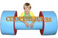 Товары для развития детей в игровой форме от "Спортленд-35"